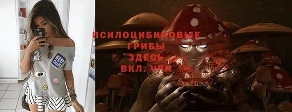 шишки Абдулино