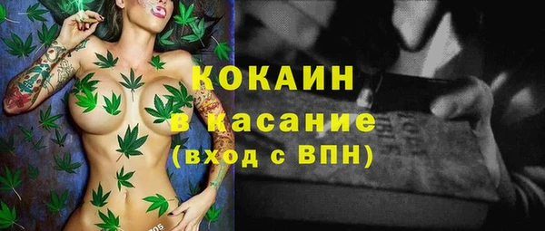 шишки Абдулино
