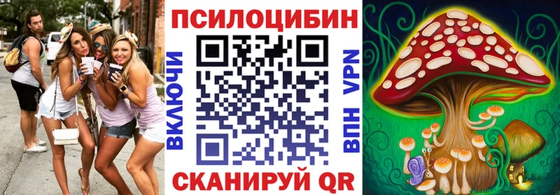Псилоцибиновые грибы Psilocybine cubensis Темников