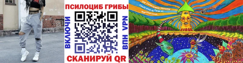 Галлюциногенные грибы MAGIC MUSHROOMS  Темников 
